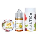 Saltica - Honeydew Melon