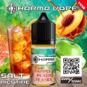 Dharma - Apple Peach Tea Ice
